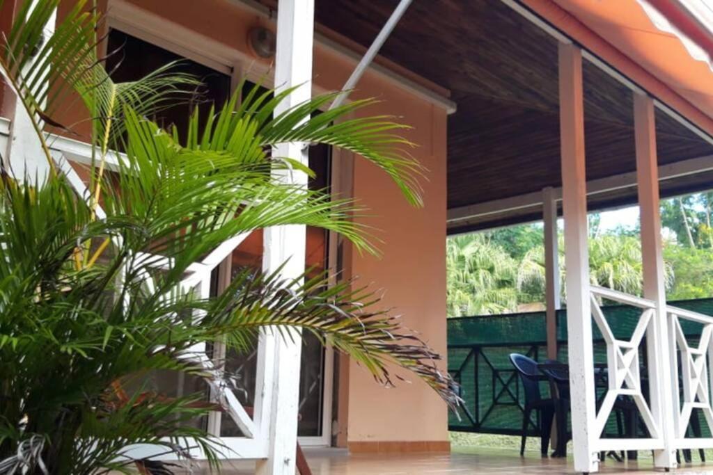 Residence Ti'Keol - Appartements Avec Terrasse 2 A 4 Personnes, Piscine Sainte-Anne Luaran gambar